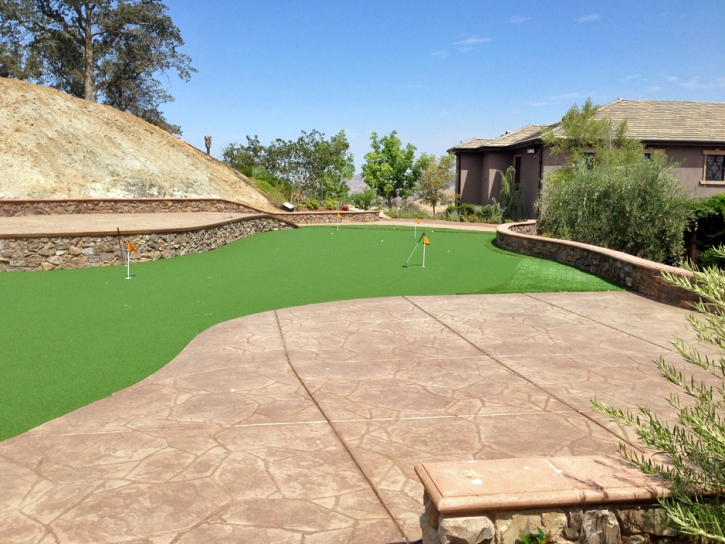 Grass Turf Long Beach, California Putting Green Turf, Backyard