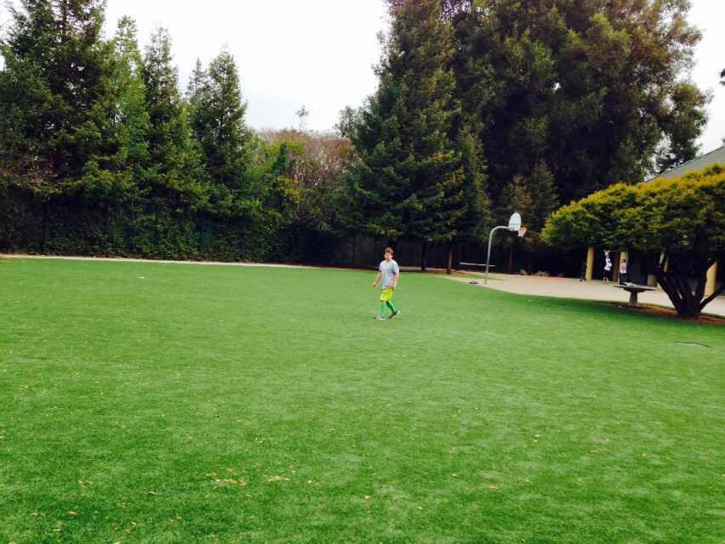 Grass Turf North Hollywood, California Bocce Ball Court, Parks