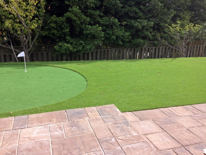 Green Lawn Chino, California Roof Top, Backyard Designs