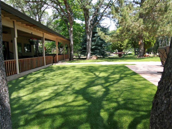 Green Lawn Costa Mesa, California Backyard Playground, Backyard Landscape Ideas