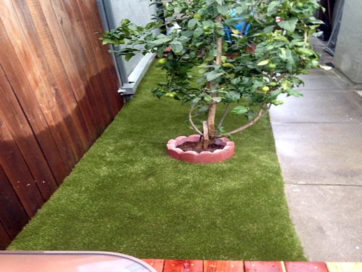 Green Lawn Rosemead, California Artificial Turf For Dogs, Backyard Designs