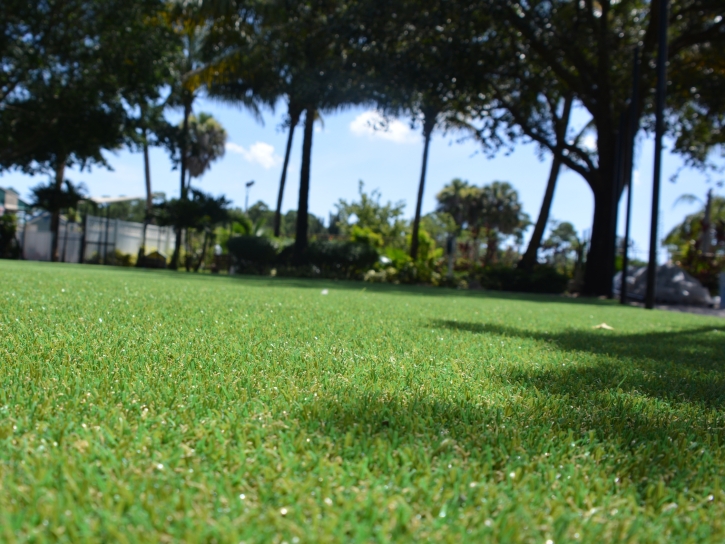 Green Lawn Stanton, California Gardeners, Recreational Areas