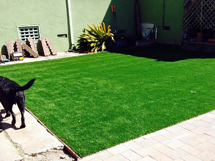 Lawn Services Hawthorne, California Hotel For Dogs, Backyard Landscaping Ideas