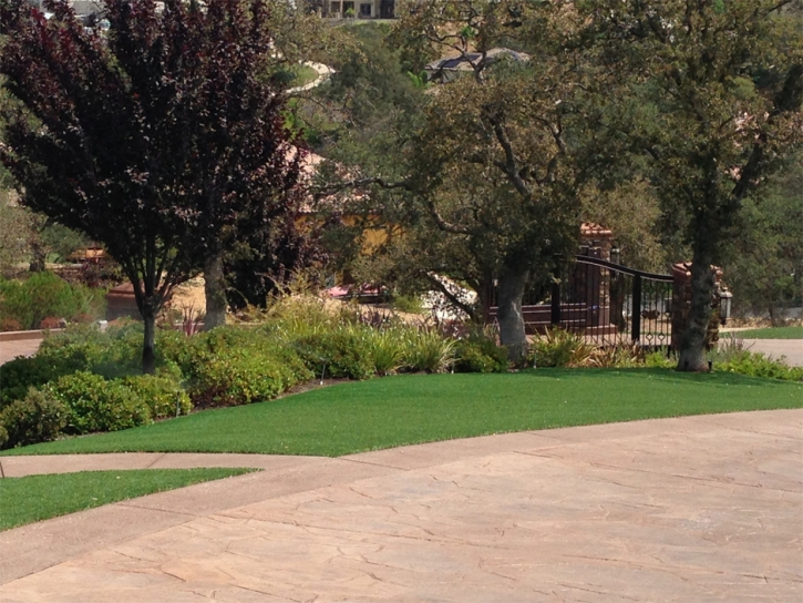 Lawn Services Rosamond, California Backyard Playground, Backyard Ideas