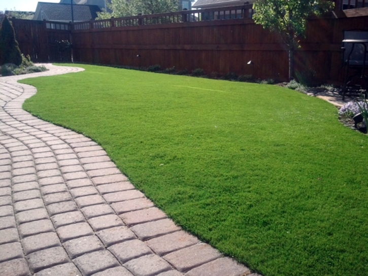 Outdoor Carpet Manhattan Beach, California Pet Grass, Backyard Landscaping Ideas