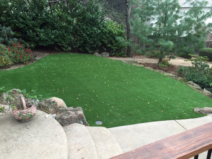 Outdoor Carpet Rosedale, California Landscaping Business, Small Backyard Ideas