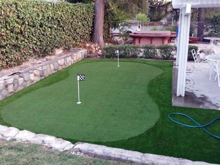 Outdoor Carpet Santa Fe Springs, California Indoor Putting Greens, Backyard