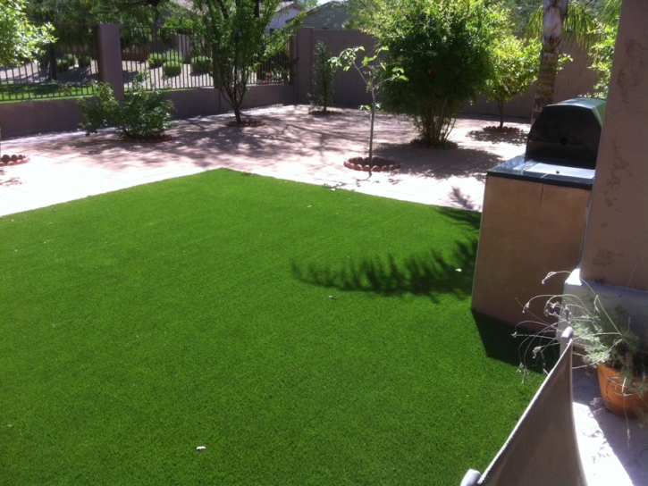 Outdoor Carpet West Covina, California Dog Pound, Dogs Park