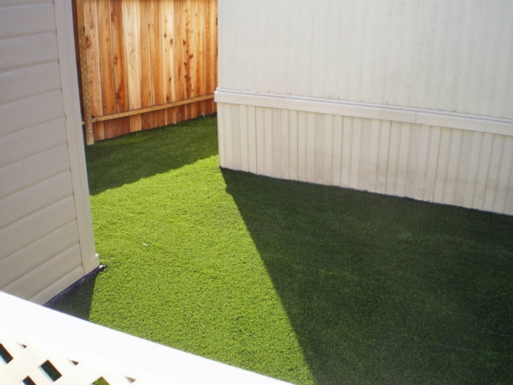 Plastic Grass Ladera Heights, California Indoor Dog Park, Small Backyard Ideas