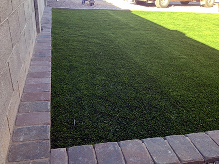 Plastic Grass Lynwood, California Rooftop, Front Yard Design