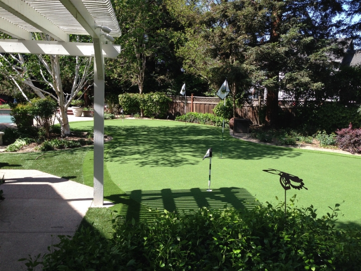 Plastic Grass Mexican Colony, California Landscaping Business