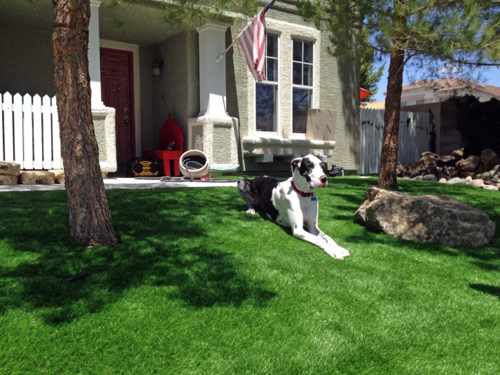 Plastic Grass Santa Ana, California Pet Turf, Front Yard Design