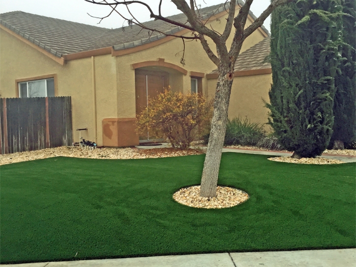 Synthetic Grass Baldwin Park, California Gardeners, Front Yard Landscape Ideas