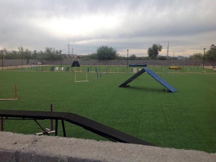 Synthetic Grass New Cuyama, California Stadium, Recreational Areas