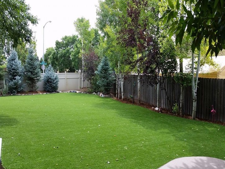 Synthetic Grass Pasadena, California Backyard Deck Ideas, Backyard