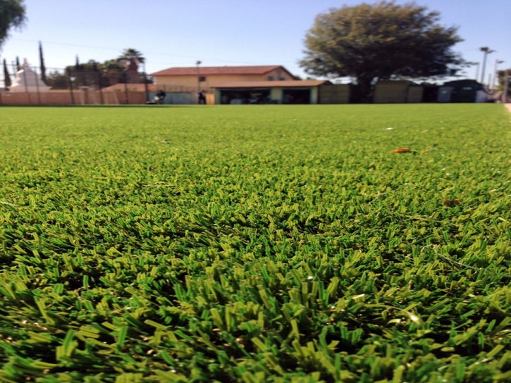 Synthetic Grass Piru, California Landscape Design