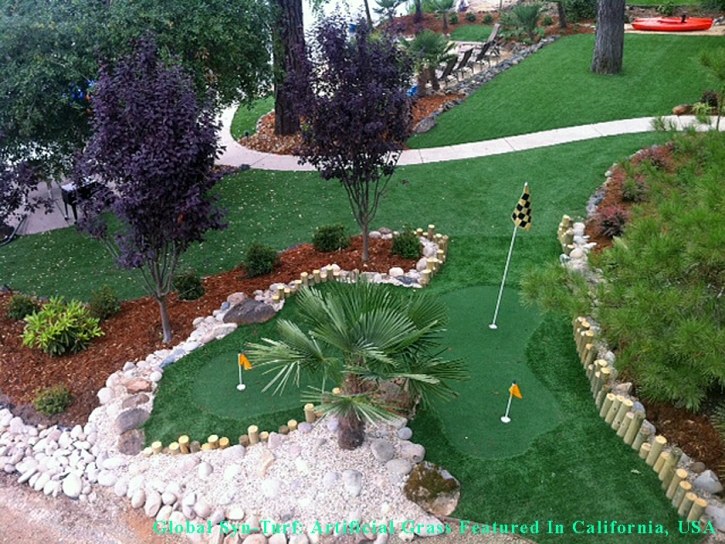 Synthetic Grass Ventura, California Backyard Playground, Backyard Landscape Ideas
