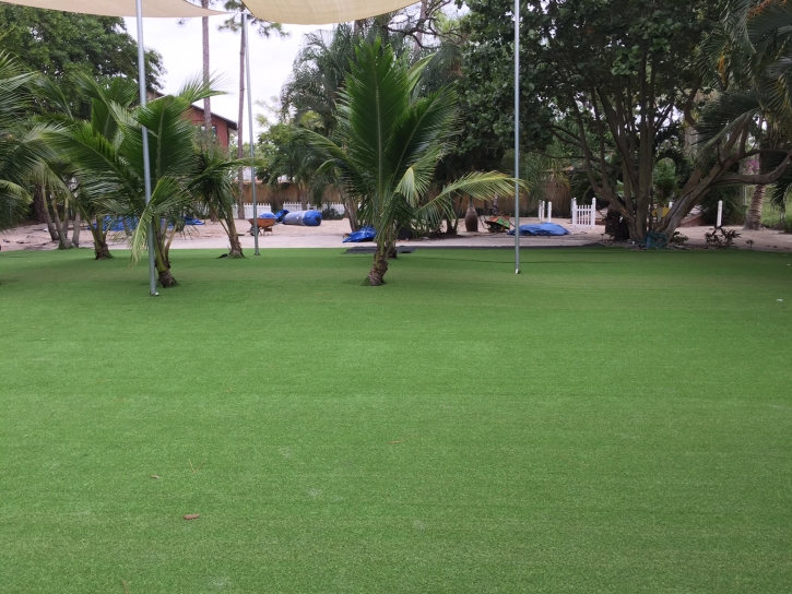 Synthetic Grass Westminster, California Lawn And Landscape, Commercial Landscape