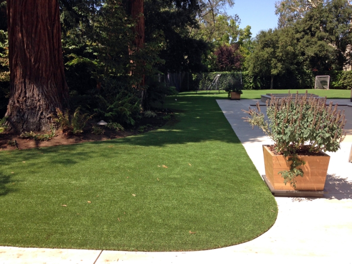Synthetic Lawn Golden Hills, California Dog Run, Front Yard Design