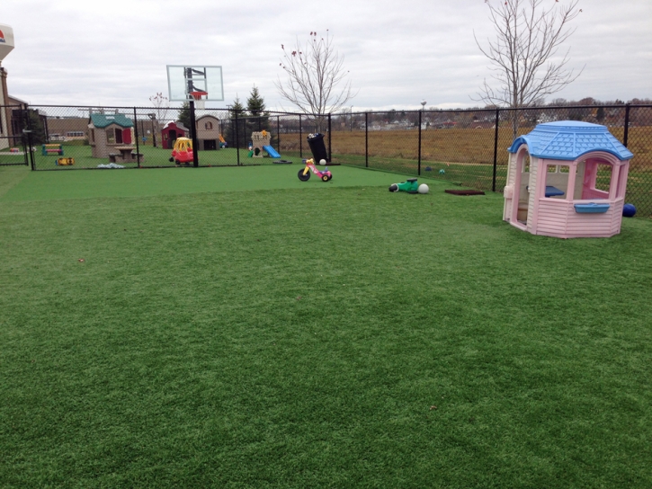 Synthetic Lawn Hacienda Heights, California Indoor Playground, Commercial Landscape