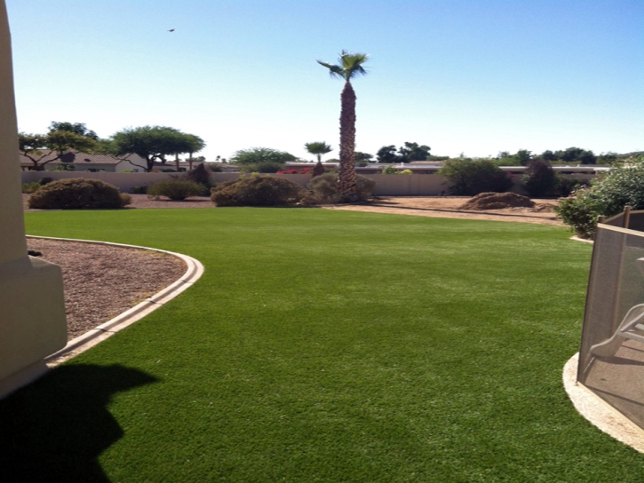 Synthetic Lawn Hollywood, California Landscape Design, Beautiful Backyards