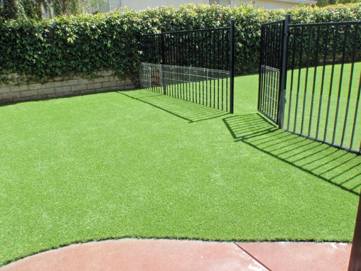 Synthetic Lawn Vincent, California Landscape Photos, Front Yard Landscape Ideas