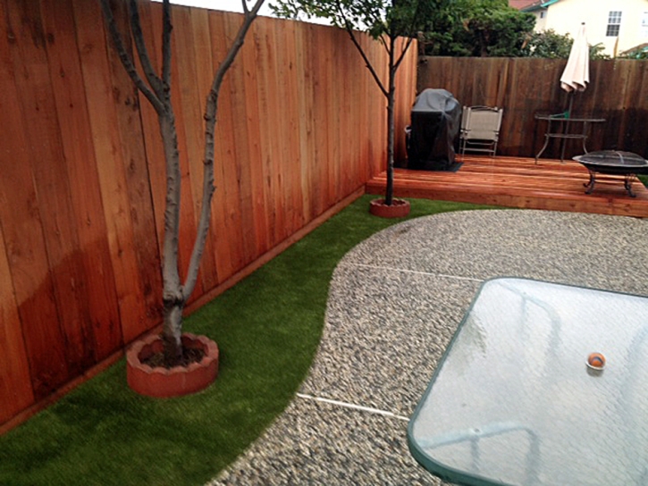 Synthetic Turf Supplier Edmundson Acres, California Backyard Playground, Backyard Landscaping