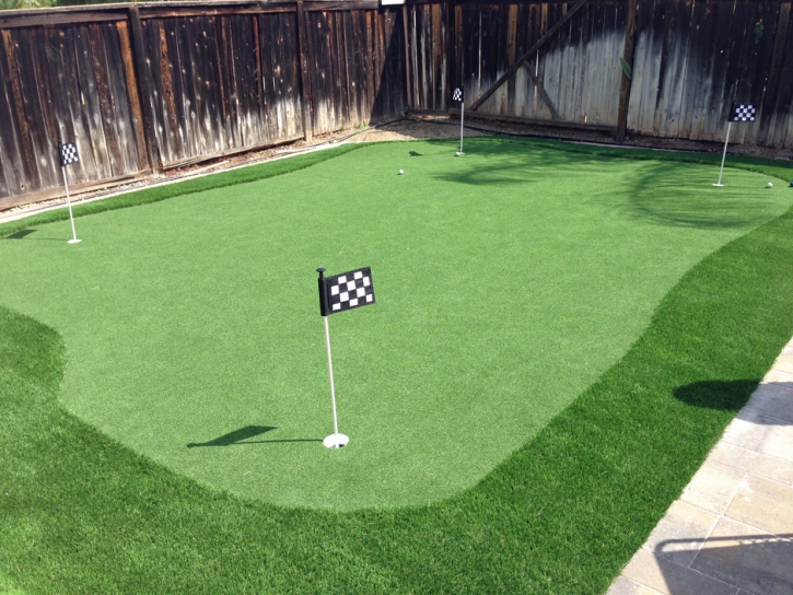 Synthetic Turf Supplier Lake Hughes, California Home And Garden, Backyard Landscaping