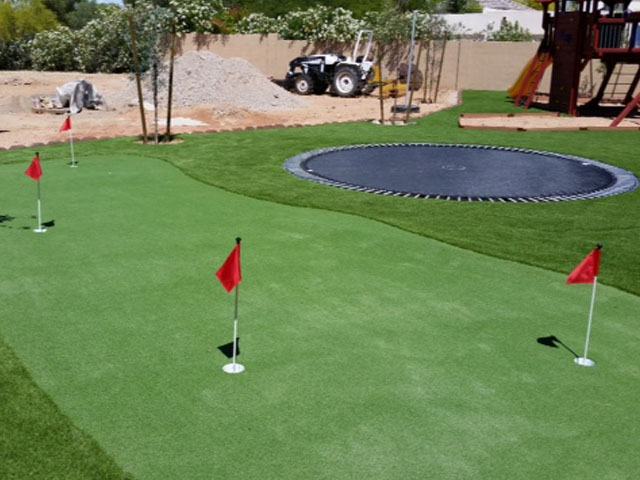 Turf Grass Santa Ana, California Putting Green, Backyard Garden Ideas