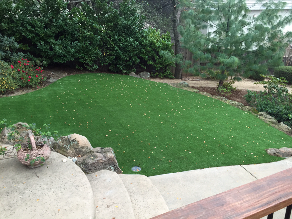 Outdoor Carpet Rosedale California, How To Start A Landscaping Business In California