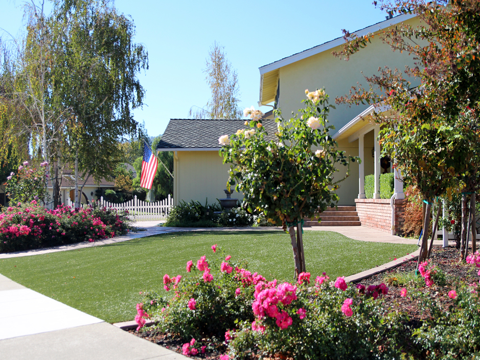Plastic Grass Vincent California, California Front Yard Landscape Ideas