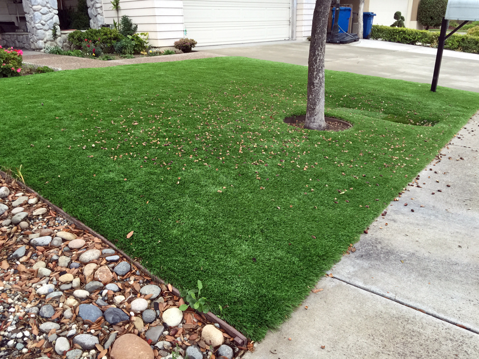 Synthetic Grass Cost Taft Heights, How To Start A Landscaping Business In California